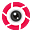 القسم الفني