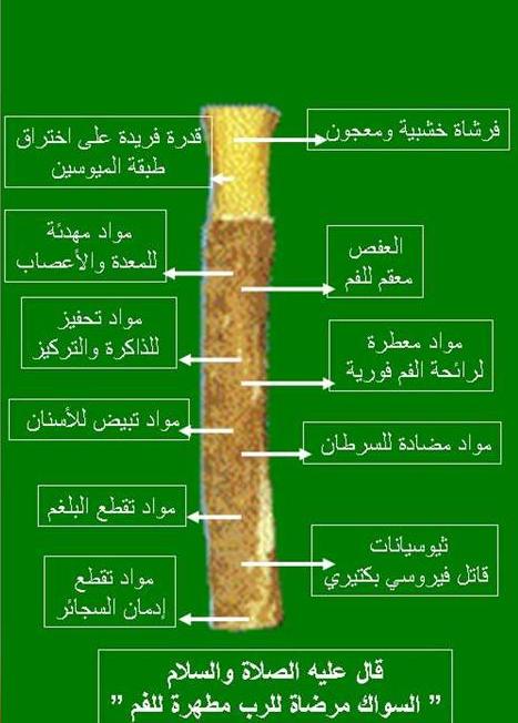 اضغط على الصورة لعرض أكبر. 

الإسم:	123.jpg 
مشاهدات:	1 
الحجم:	47.2 كيلوبايت 
الهوية:	847581