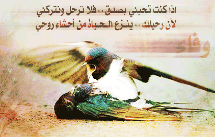 اضغط على الصورة لعرض أكبر. 

الإسم:	100157.imgcache.gif 
مشاهدات:	1 
الحجم:	58.0 كيلوبايت 
الهوية:	849162