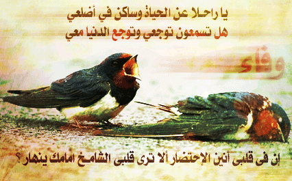 اضغط على الصورة لعرض أكبر. 

الإسم:	clip_image001.gif 
مشاهدات:	1 
الحجم:	63.8 كيلوبايت 
الهوية:	849166