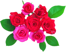 اضغط على الصورة لعرض أكبر. 

الإسم:	13175506735.png 
مشاهدات:	1 
الحجم:	56.2 كيلوبايت 
الهوية:	830192