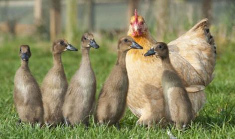 اضغط على الصورة لعرض أكبر. 

الإسم:	43.jpg 
مشاهدات:	1 
الحجم:	21.5 كيلوبايت 
الهوية:	849385