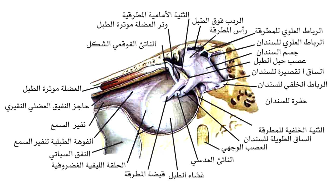 اضغط على الصورة لعرض أكبر. 

الإسم:	20060712-051226.jpg 
مشاهدات:	1 
الحجم:	88.3 كيلوبايت 
الهوية:	849527