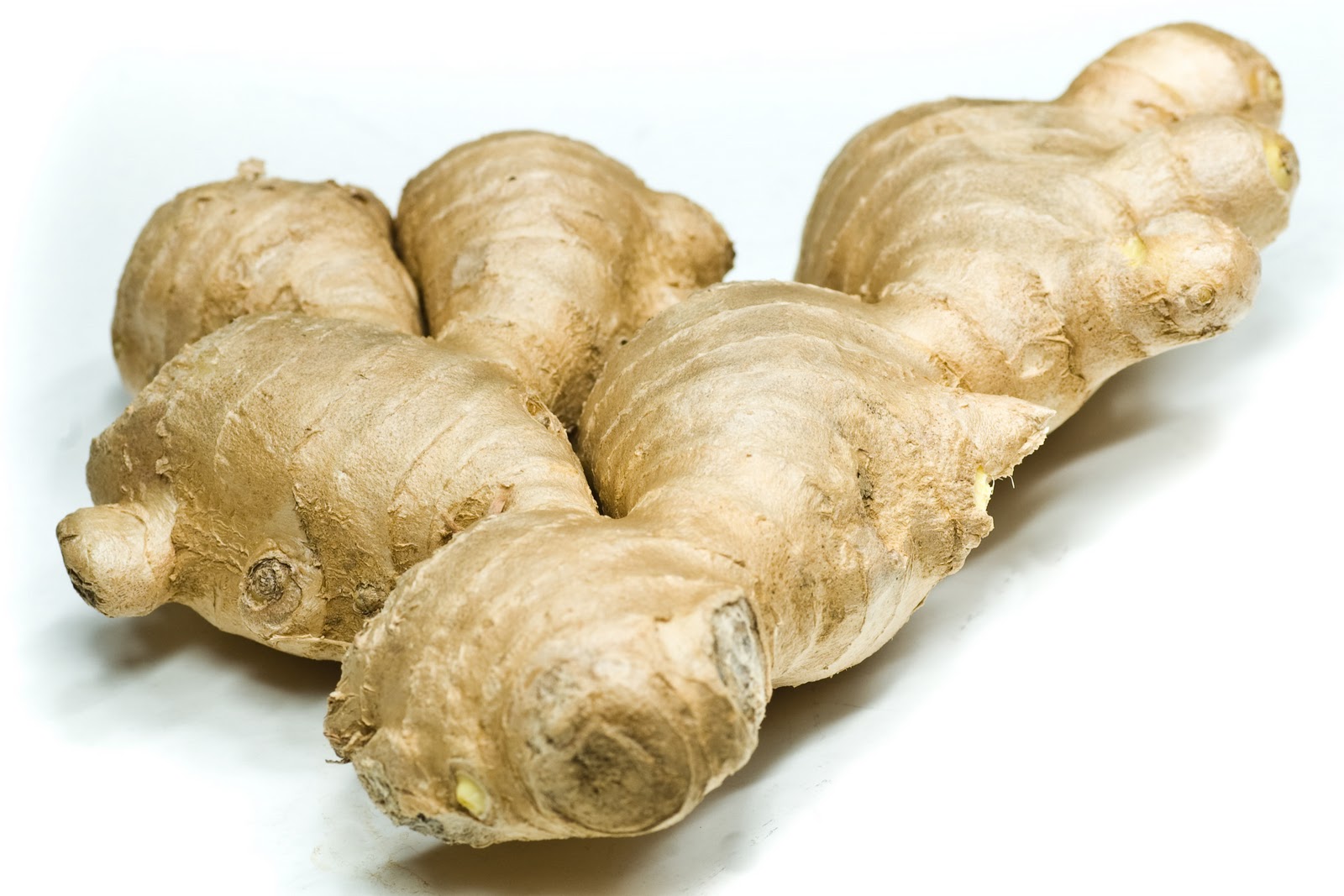 اضغط على الصورة لعرض أكبر. 

الإسم:	ginger.jpg 
مشاهدات:	1 
الحجم:	217.8 كيلوبايت 
الهوية:	849556