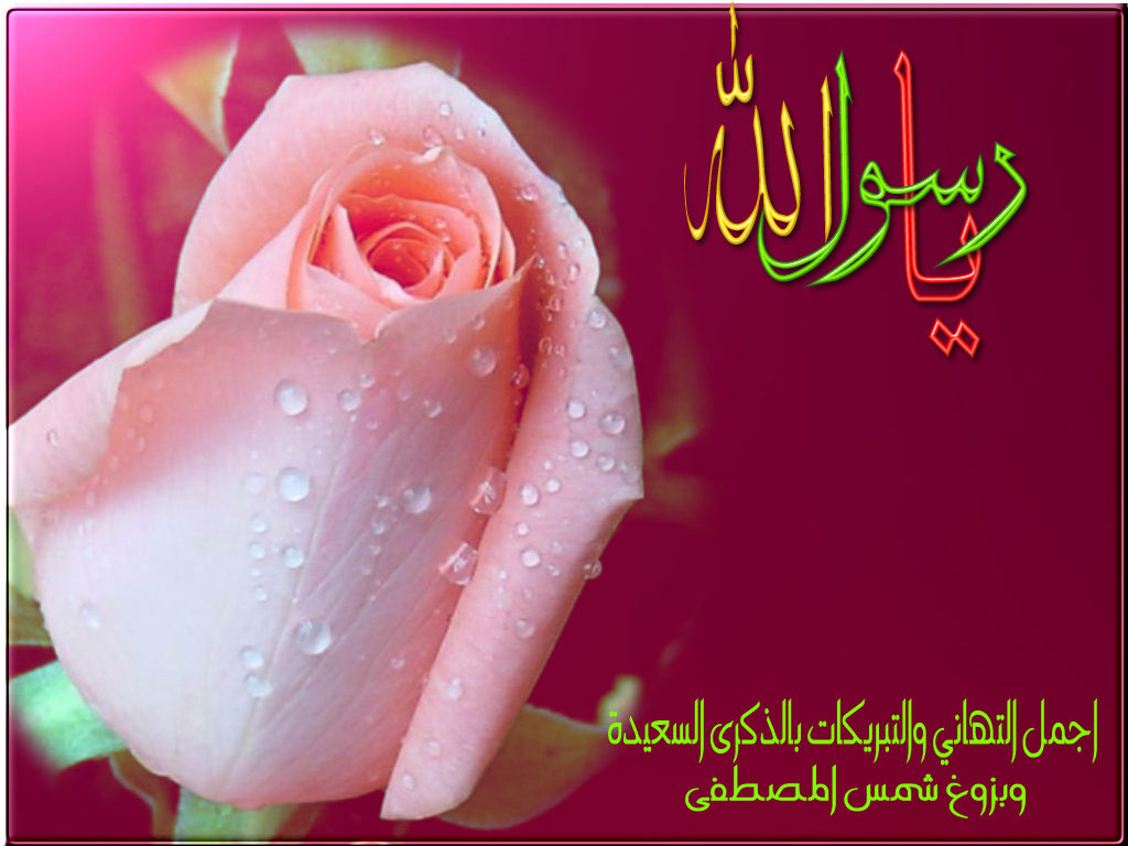 اضغط على الصورة لعرض أكبر. 

الإسم:	6.jpg 
مشاهدات:	1 
الحجم:	127.5 كيلوبايت 
الهوية:	850848