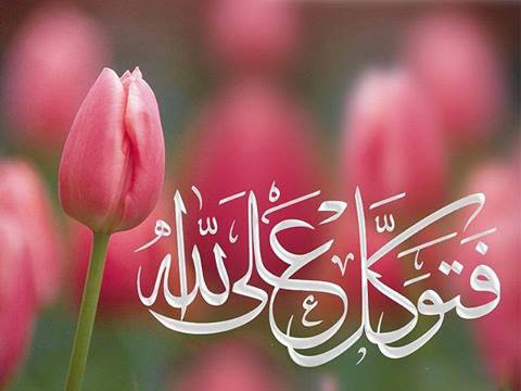 اضغط على الصورة لعرض أكبر. 

الإسم:	10311371_293513554157448_490902108211422811_n[1].jpg 
مشاهدات:	2 
الحجم:	22.1 كيلوبايت 
الهوية:	864065