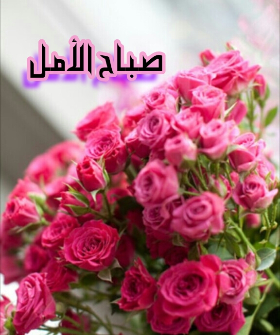 اضغط على الصورة لعرض أكبر. 

الإسم:	CTD12201792628.jpg 
مشاهدات:	1 
الحجم:	243.0 كيلوبايت 
الهوية:	840583