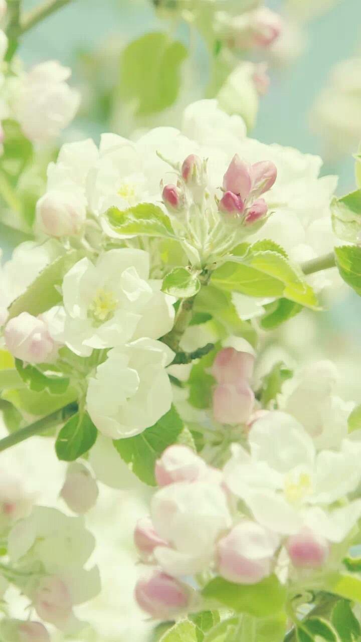 اضغط على الصورة لعرض أكبر. 

الإسم:	photo_2016-09-14_12-52-01.jpg 
مشاهدات:	1 
الحجم:	62.9 كيلوبايت 
الهوية:	860960