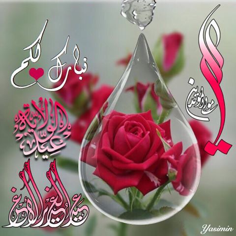 اضغط على الصورة لعرض أكبر. 

الإسم:	21462930_170242383541002_1534103596809648981_n.jpg 
مشاهدات:	1 
الحجم:	42.1 كيلوبايت 
الهوية:	860994