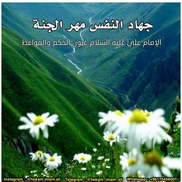 اضغط على الصورة لعرض أكبر. 

الإسم:	photo_2017-04-21_18-24-59.jpg 
مشاهدات:	1 
الحجم:	75.8 كيلوبايت 
الهوية:	861598