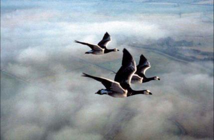 اضغط على الصورة لعرض أكبر. 

الإسم:	received_763434610484738.jpg 
مشاهدات:	1 
الحجم:	15.3 كيلوبايت 
الهوية:	841112