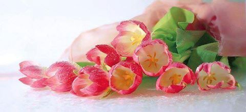 اضغط على الصورة لعرض أكبر. 

الإسم:	10646833_773214866055282_709494121556131057_n.jpg 
مشاهدات:	2 
الحجم:	18.2 كيلوبايت 
الهوية:	863779