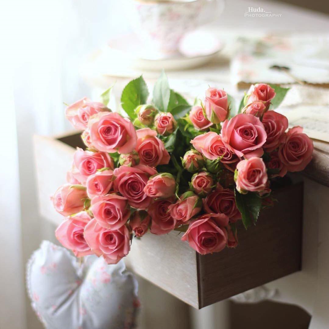 اضغط على الصورة لعرض أكبر. 

الإسم:	photo_2018-01-15_19-41-41.jpg 
مشاهدات:	1 
الحجم:	89.9 كيلوبايت 
الهوية:	863785