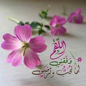 اضغط على الصورة لعرض أكبر. 

الإسم:	received_756694124492120.jpg 
مشاهدات:	1 
الحجم:	13.9 كيلوبايت 
الهوية:	864003