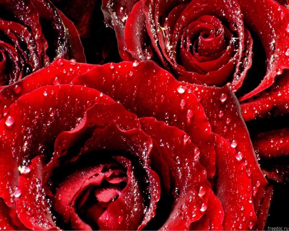 اضغط على الصورة لعرض أكبر. 

الإسم:	10408986_566025946876790_5219460132163805699_n.jpg 
مشاهدات:	1 
الحجم:	110.8 كيلوبايت 
الهوية:	864004