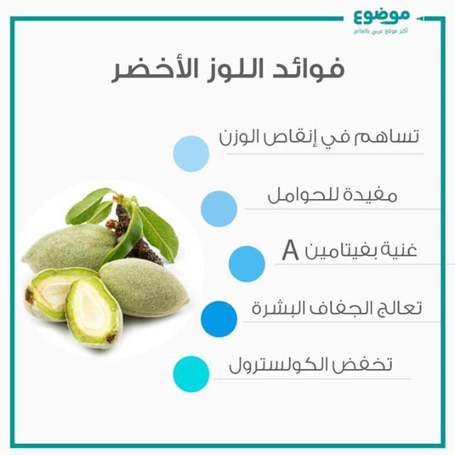 اضغط على الصورة لعرض أكبر. 

الإسم:	photo_2019-09-17_18-40-02.jpg 
مشاهدات:	1 
الحجم:	38.0 كيلوبايت 
الهوية:	864323