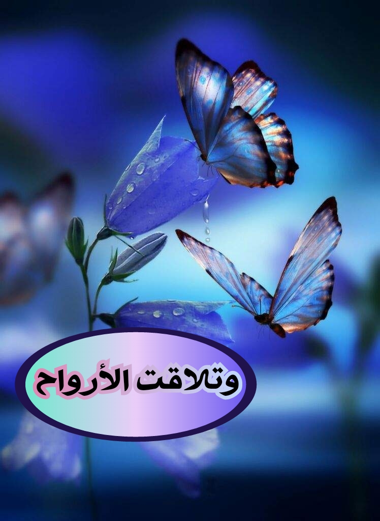 اضغط على الصورة لعرض أكبر. 

الإسم:	CTD510201912639.jpg 
مشاهدات:	1 
الحجم:	237.7 كيلوبايت 
الهوية:	864534