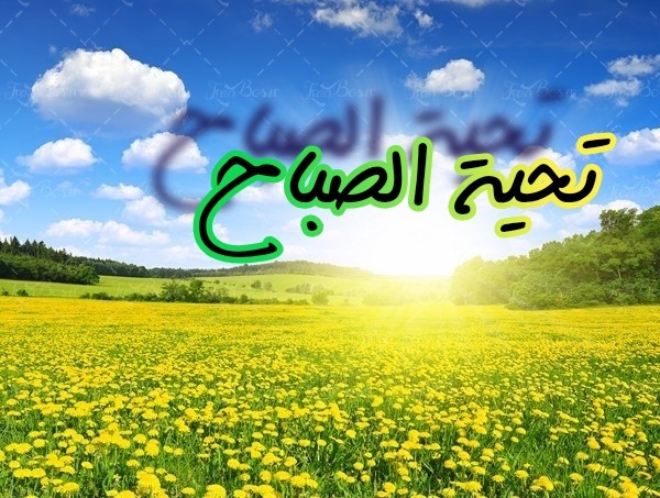 اضغط على الصورة لعرض أكبر. 

الإسم:	CTD51020190417.jpg 
مشاهدات:	869 
الحجم:	108.2 كيلوبايت 
الهوية:	872081
