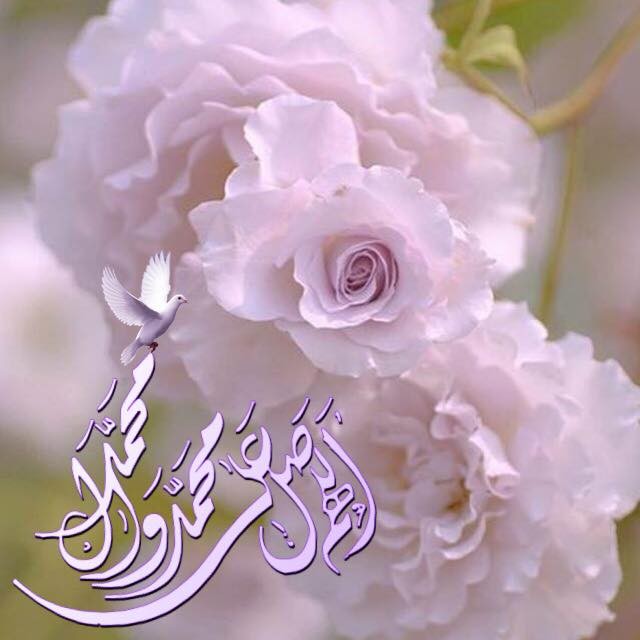 اضغط على الصورة لعرض أكبر. 

الإسم:	17861966_1928190224066626_7606338768447475905_n.jpg 
مشاهدات:	1431 
الحجم:	57.5 كيلوبايت 
الهوية:	872034