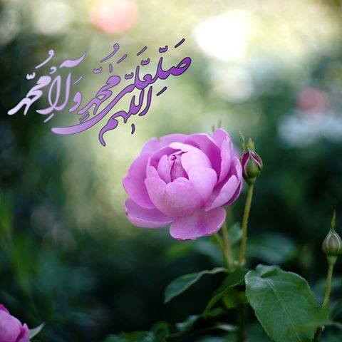 اضغط على الصورة لعرض أكبر. 

الإسم:	11822335_577348679071173_7611336337860637973_n.jpg 
مشاهدات:	3 
الحجم:	26.4 كيلوبايت 
الهوية:	864570
