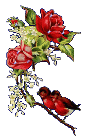اضغط على الصورة لعرض أكبر. 

الإسم:	img.gif 
مشاهدات:	1301 
الحجم:	19.2 كيلوبايت 
الهوية:	874282