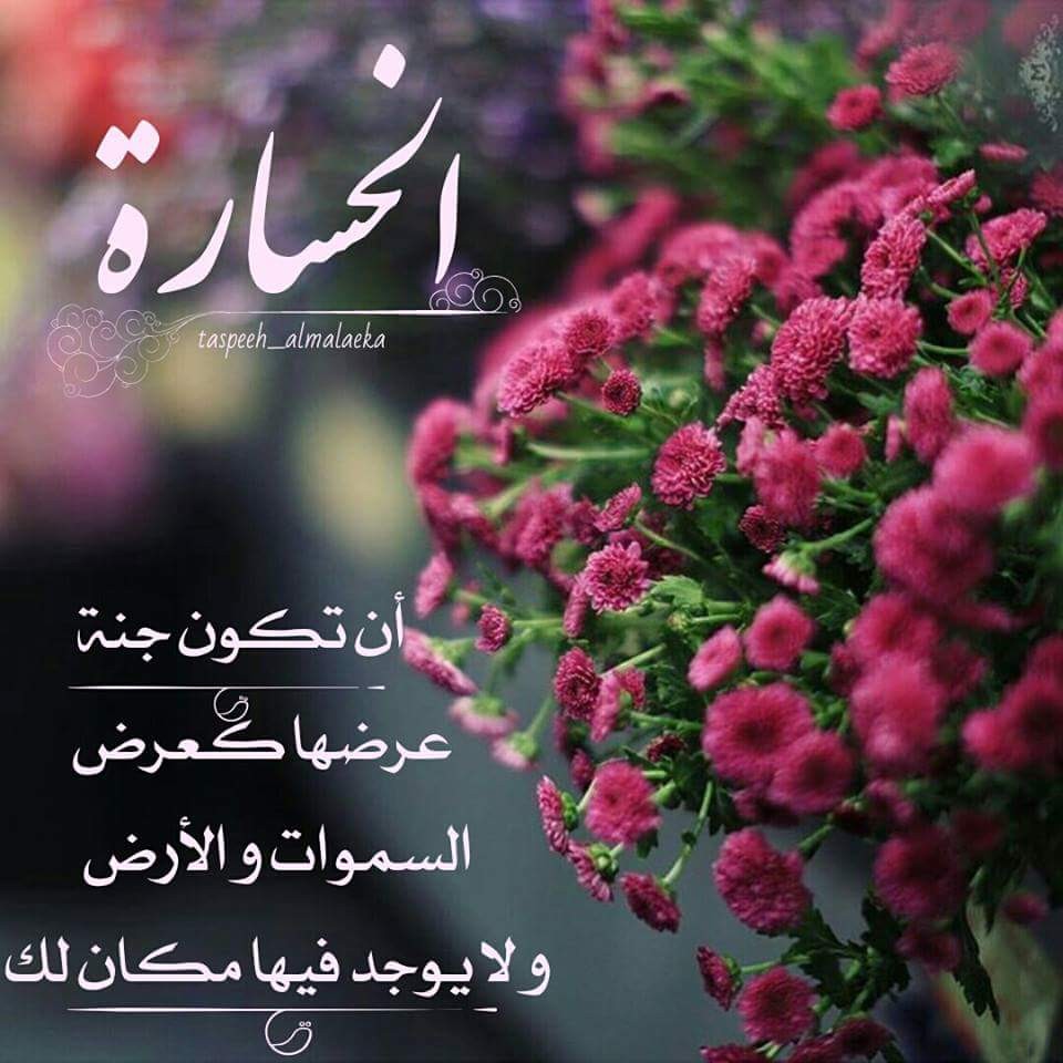 اضغط على الصورة لعرض أكبر. 

الإسم:	IMG_169894312264402.jpeg 
مشاهدات:	739 
الحجم:	148.3 كيلوبايت 
الهوية:	874343