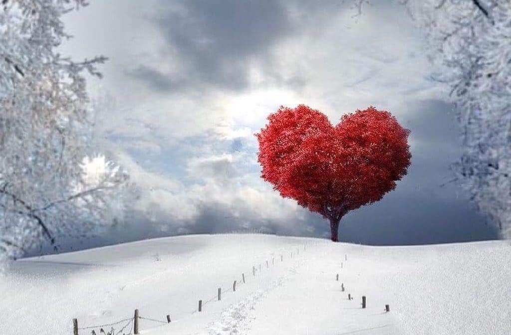 اضغط على الصورة لعرض أكبر. 

الإسم:	received_997671537061043.jpeg 
مشاهدات:	446 
الحجم:	97.2 كيلوبايت 
الهوية:	875771