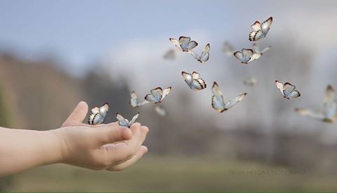 اضغط على الصورة لعرض أكبر. 

الإسم:	14232642_367175147003554_3885284755565000081_n.jpg 
مشاهدات:	489 
الحجم:	17.2 كيلوبايت 
الهوية:	876718