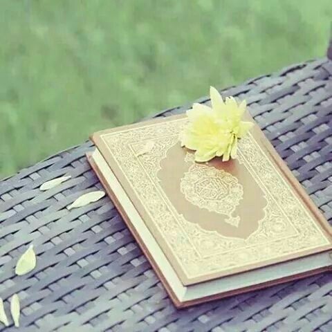 اضغط على الصورة لعرض أكبر. 

الإسم:	image-ab6e6beccddec6bb63637cf36753063b84ad654547247b3b681589713685f93a-V.jpg 
مشاهدات:	401 
الحجم:	52.8 كيلوبايت 
الهوية:	876933