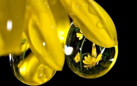اضغط على الصورة لعرض أكبر. 

الإسم:	16406406_408515369483380_3637394897972933590_n.jpg 
مشاهدات:	880 
الحجم:	25.9 كيلوبايت 
الهوية:	879160