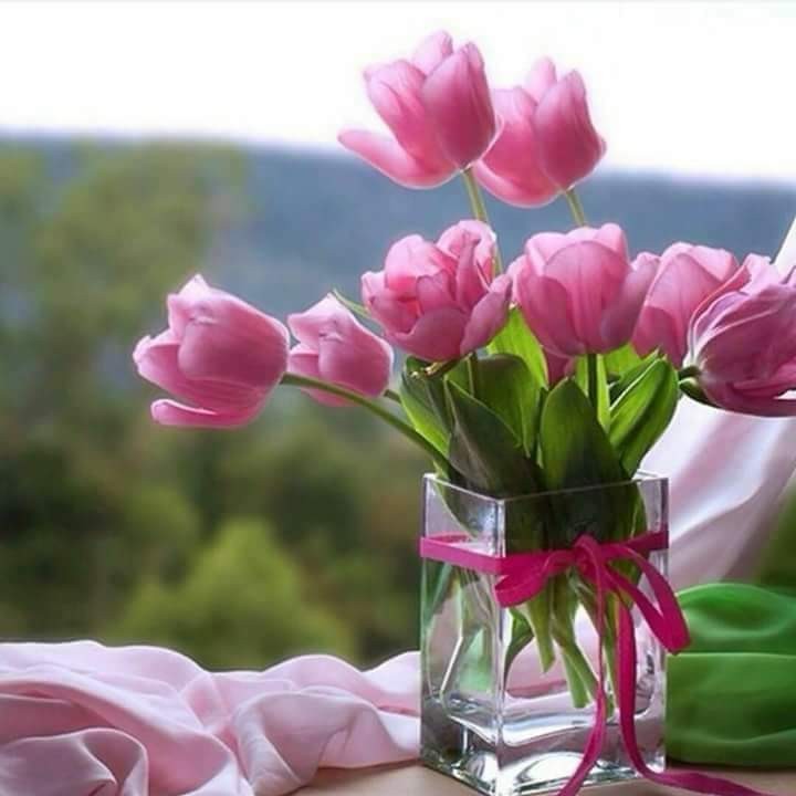 اضغط على الصورة لعرض أكبر. 

الإسم:	FB_IMG_1573843010021.jpg 
مشاهدات:	444 
الحجم:	59.0 كيلوبايت 
الهوية:	880220