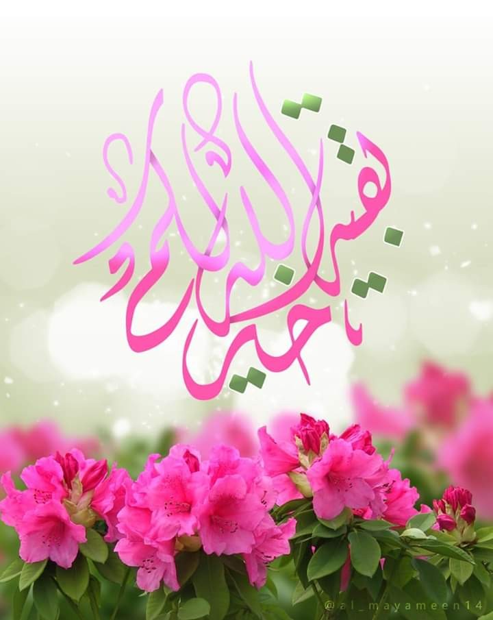 اضغط على الصورة لعرض أكبر. 

الإسم:	FB_IMG_1555827488546.jpg 
مشاهدات:	723 
الحجم:	76.1 كيلوبايت 
الهوية:	882128