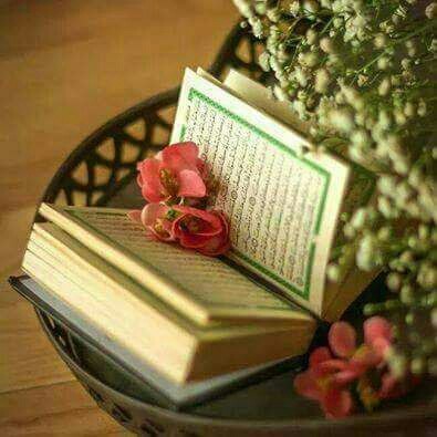 اضغط على الصورة لعرض أكبر. 

الإسم:	image-85e70da6c96ba8dcff208c51e438ac85f88b5d25a67cc88c7d5d634bdcbb0f91-V.jpg 
مشاهدات:	1070 
الحجم:	42.0 كيلوبايت 
الهوية:	882274
