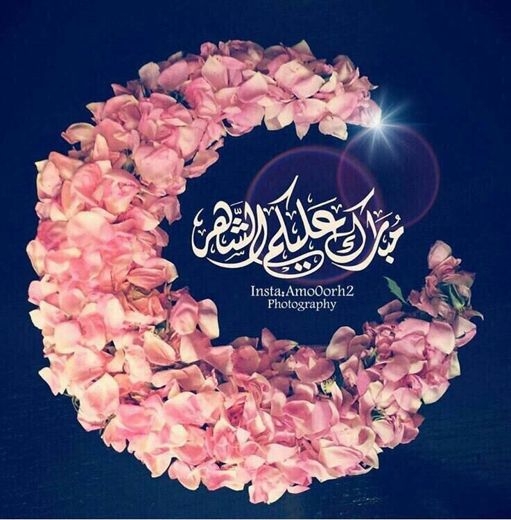 اضغط على الصورة لعرض أكبر. 

الإسم:	IMG-20170528-WA0015.jpg 
مشاهدات:	1406 
الحجم:	122.8 كيلوبايت 
الهوية:	883547
