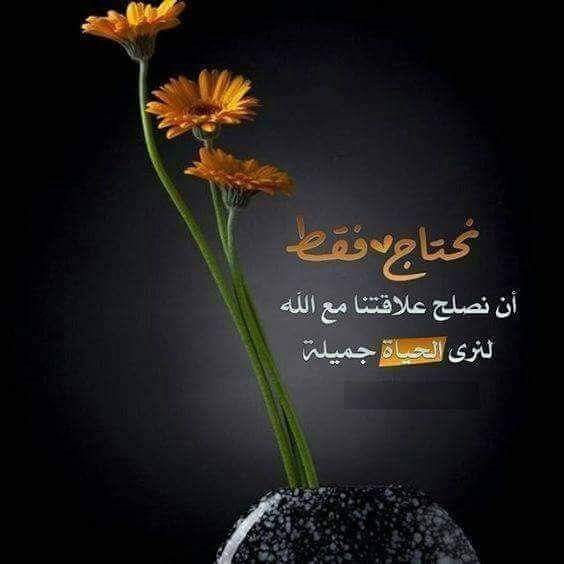 اضغط على الصورة لعرض أكبر. 

الإسم:	received_756491164512416.jpeg 
مشاهدات:	404 
الحجم:	35.8 كيلوبايت 
الهوية:	884486