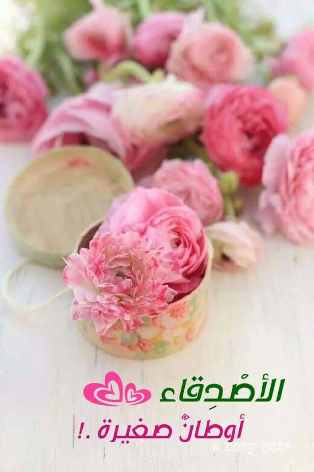 اضغط على الصورة لعرض أكبر. 

الإسم:	IMG-20170529-WA0011.jpg 
مشاهدات:	413 
الحجم:	67.5 كيلوبايت 
الهوية:	884840