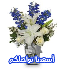 اضغط على الصورة لعرض أكبر. 

الإسم:	CTD1242020182249.png 
مشاهدات:	710 
الحجم:	67.6 كيلوبايت 
الهوية:	889086