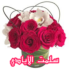 اضغط على الصورة لعرض أكبر. 

الإسم:	CTD1142020152452.png 
مشاهدات:	1083 
الحجم:	79.3 كيلوبايت 
الهوية:	885401