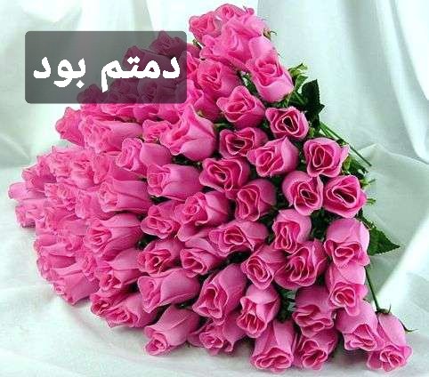 اضغط على الصورة لعرض أكبر. 

الإسم:	_٢٠٢٩٠٢.jpg 
مشاهدات:	669 
الحجم:	65.3 كيلوبايت 
الهوية:	886271