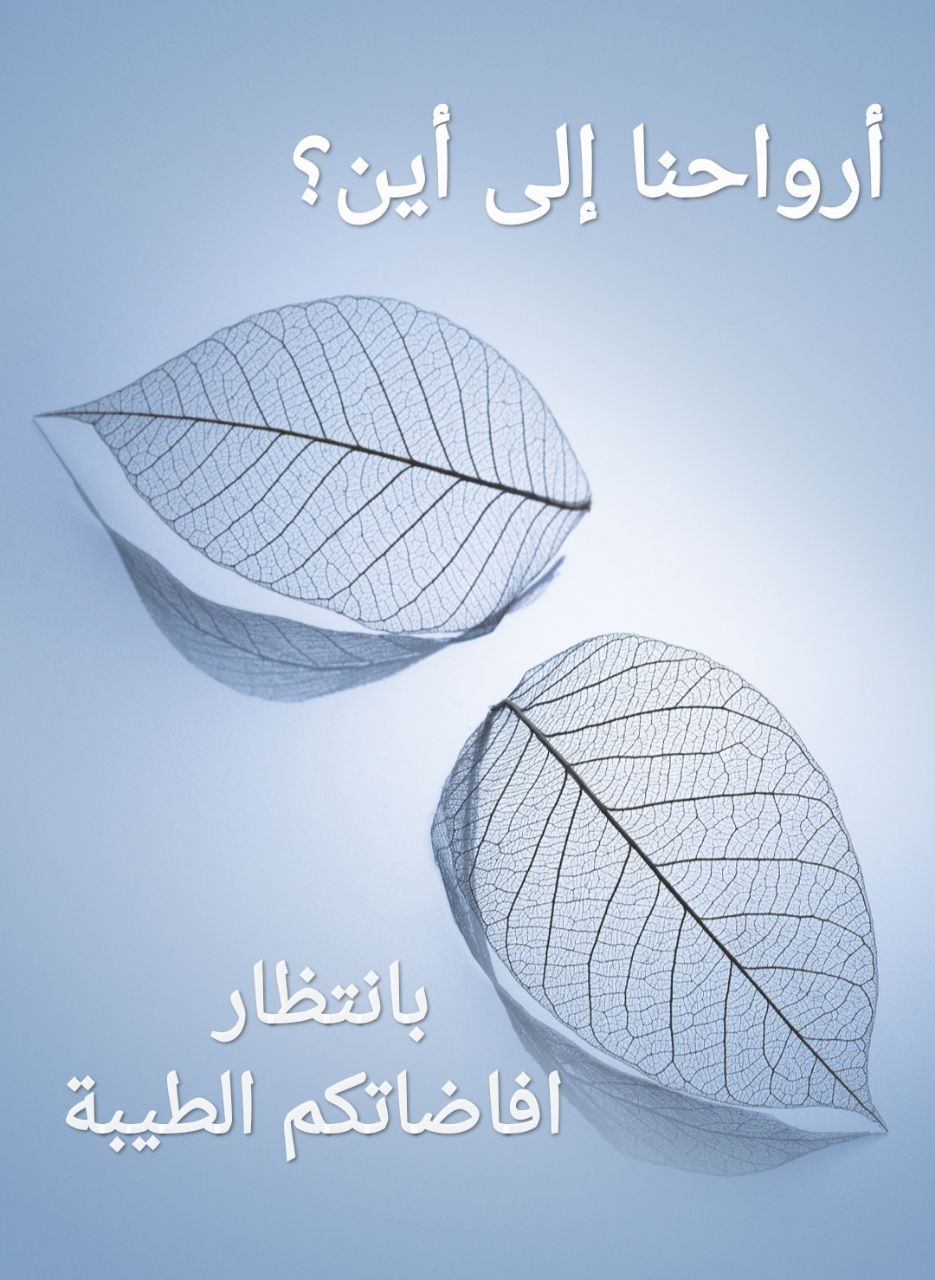 اضغط على الصورة لعرض أكبر. 

الإسم:	200041100693_26642.jpg 
مشاهدات:	454 
الحجم:	178.1 كيلوبايت 
الهوية:	886562