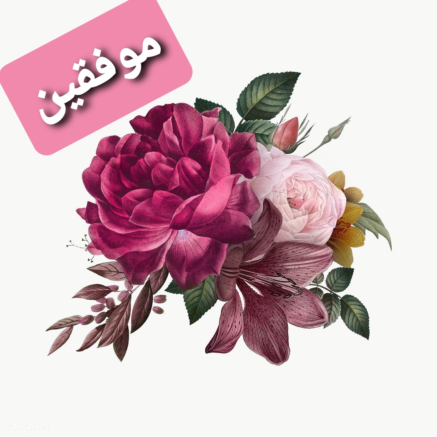 اضغط على الصورة لعرض أكبر. 

الإسم:	_٠٠٥٧٢٤.jpg 
مشاهدات:	1108 
الحجم:	388.6 كيلوبايت 
الهوية:	887067