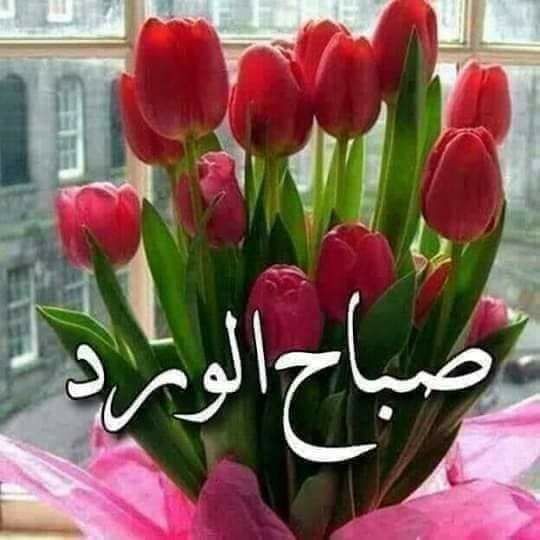 اضغط على الصورة لعرض أكبر. 

الإسم:	IMG_20200602_050401_690.jpg 
مشاهدات:	910 
الحجم:	53.1 كيلوبايت 
الهوية:	887131