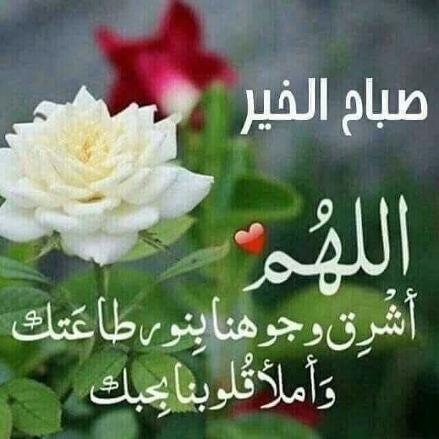 اضغط على الصورة لعرض أكبر. 

الإسم:	IMG_20200603_052453_269.jpg 
مشاهدات:	924 
الحجم:	56.2 كيلوبايت 
الهوية:	887192