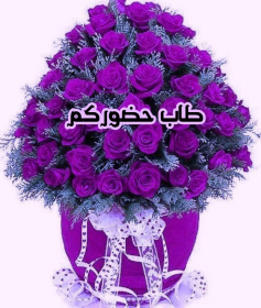 اضغط على الصورة لعرض أكبر. 

الإسم:	CTD942020164448.png 
مشاهدات:	929 
الحجم:	144.0 كيلوبايت 
الهوية:	887575