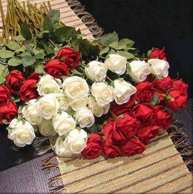 اضغط على الصورة لعرض أكبر. 

الإسم:	13590305_150734958681999_9221476269711543947_n.jpg 
مشاهدات:	433 
الحجم:	64.6 كيلوبايت 
الهوية:	887874