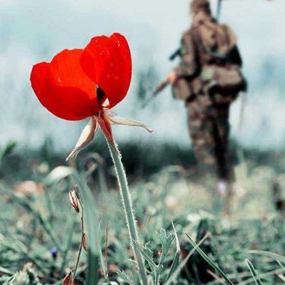 اضغط على الصورة لعرض أكبر. 

الإسم:	photo_2016-05-29_22-36-20.jpg 
مشاهدات:	753 
الحجم:	56.9 كيلوبايت 
الهوية:	887957