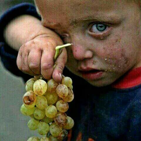 اضغط على الصورة لعرض أكبر.   الإسم:	photo_2016-06-24_18-47-32.jpg  مشاهدات:	1  الحجم:	35.5 كيلوبايت  الهوية:	840874