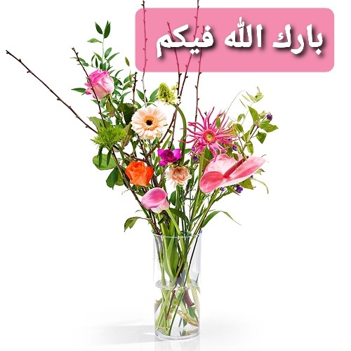 اضغط على الصورة لعرض أكبر. 

الإسم:	_٠٠٥٨١٥.jpg 
مشاهدات:	696 
الحجم:	52.7 كيلوبايت 
الهوية:	889087