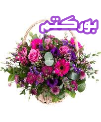 اضغط على الصورة لعرض أكبر.   الإسم:	CTD44202021547.png  مشاهدات:	0  الحجم:	74.0 كيلوبايت  الهوية:	889666