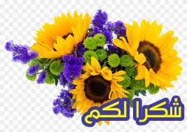 اضغط على الصورة لعرض أكبر. 

الإسم:	CTD134202018021.png 
مشاهدات:	1027 
الحجم:	91.1 كيلوبايت 
الهوية:	890205